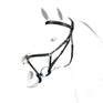 Equipe Emporio Grackle Bridle with Silver Fittings #colour_black