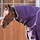 Shires Highlander Original 100g Turnout Neck Cover #colour_plum