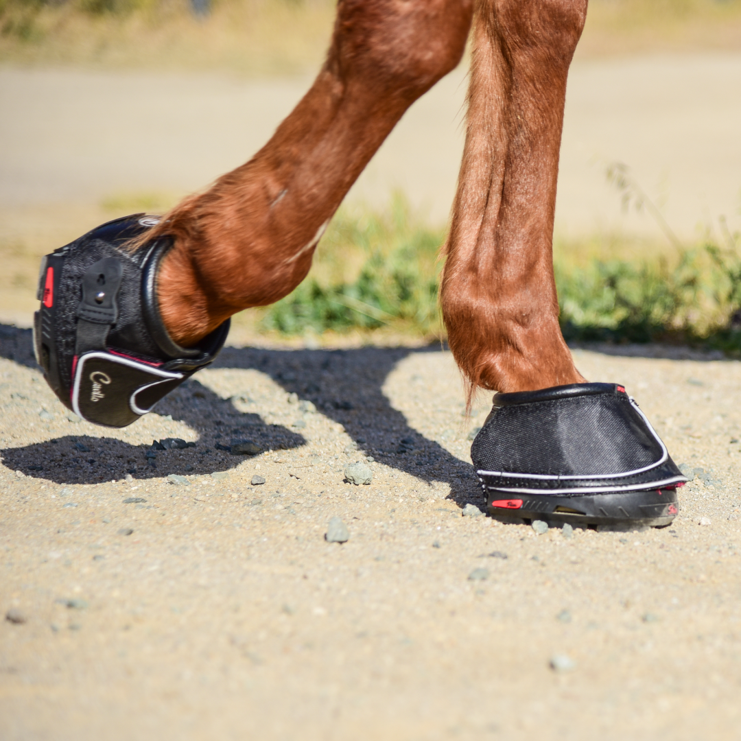 Cavallo Sport Boot Slim med Foc Hoof Pick & Brush
