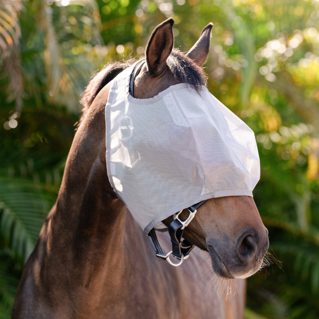 Horseware Ireland Amigo No Ears Flymask