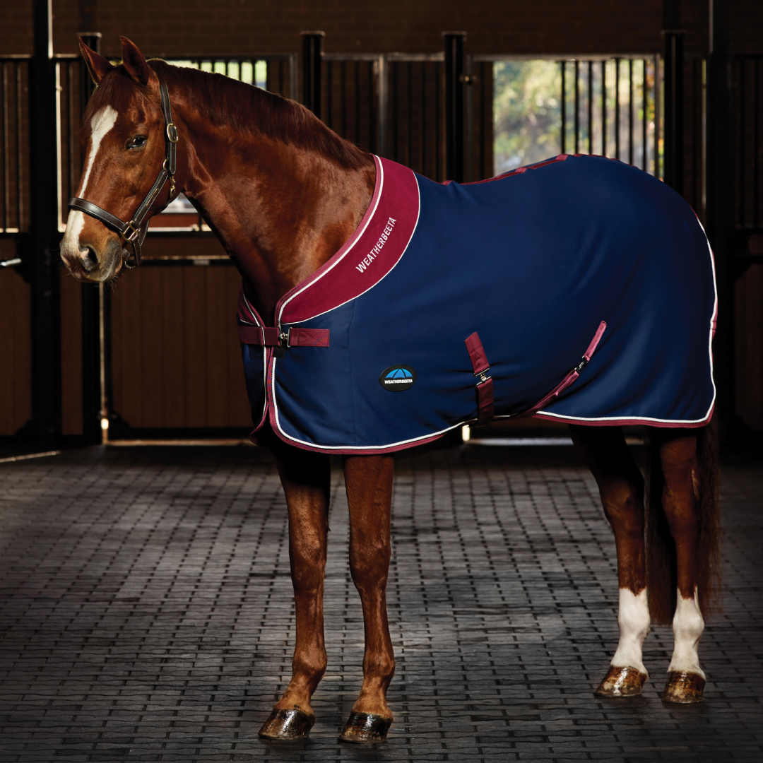 Weatherbeeta Opulence Show Sheet Standard Neck #colour_navy-burgundy