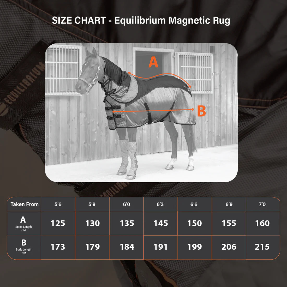 Equilibrium Therapy Magnetic Rug