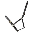 Hy Leather Foal Head Collar #colour_black