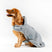 Horseware Ireland Newmarket Dog Coat #colour_witney-charcoal