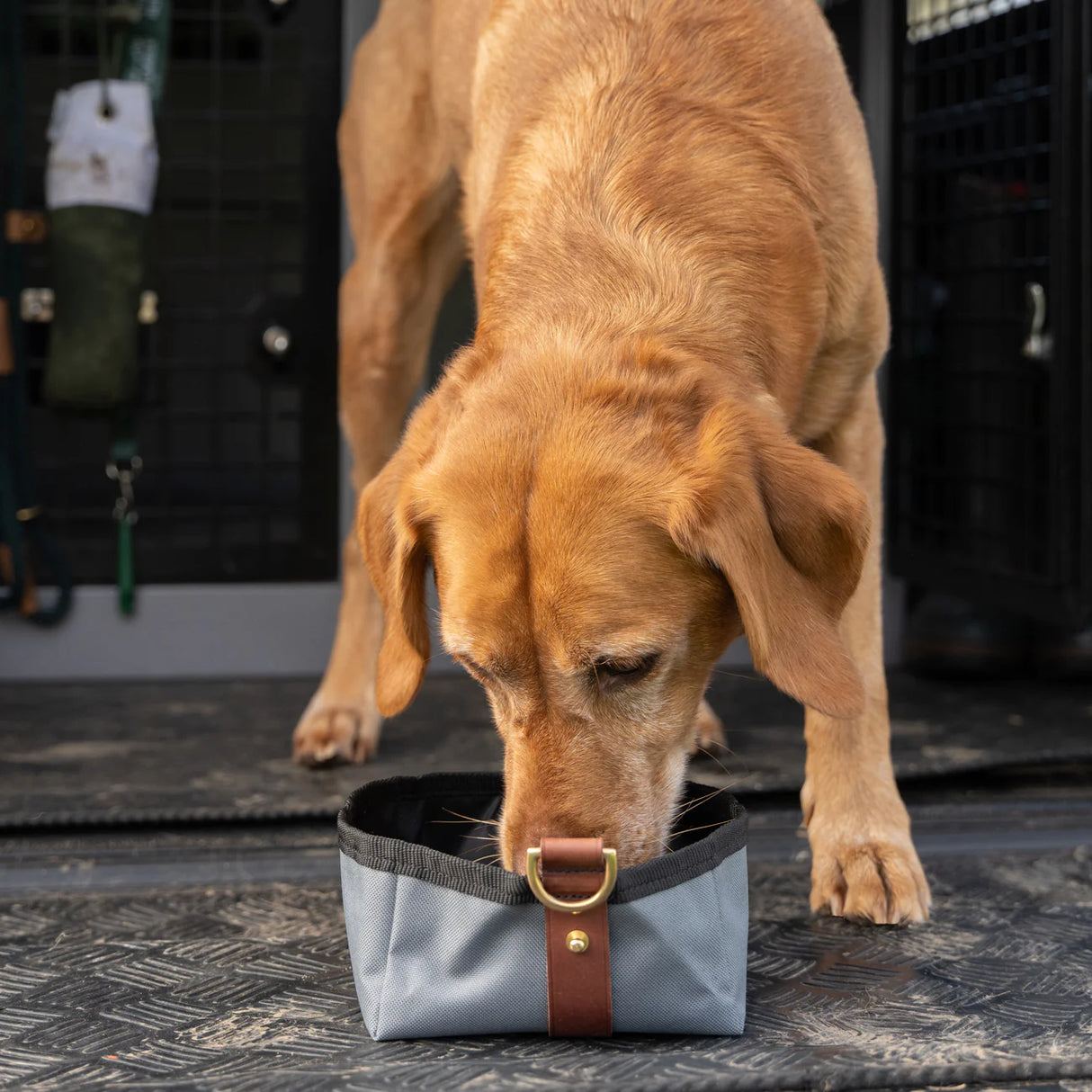 Ruff & Tumble Foldable Travel Bowl #colour_storm