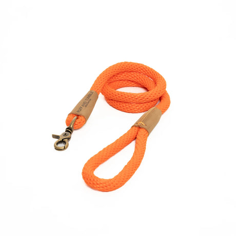 Ruff & Tumble Slim Clip Dog Lead #colour_tangerine