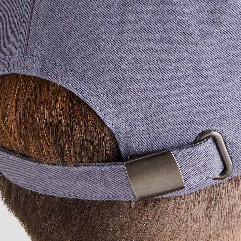 Ridgeline Signature Cap #colour_storm