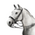 Equipe Charlotte Double Bridle - No Reins #colour_black