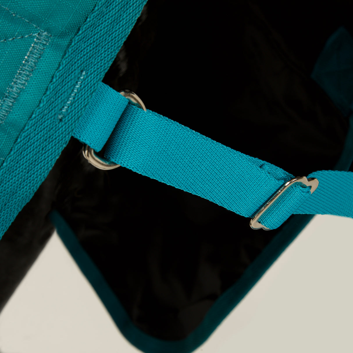 Bridleway Ontario 100g Combo Turnout Rug #colour_teal-horse