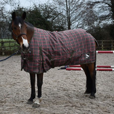 Whitaker Archie 200g Turnout Rug #colour_brown-check