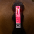 Woof Wear LED Hi Vis Tail Light #colour_hi-viz-pink