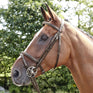 Whitaker Barton Raised Flash Bridle