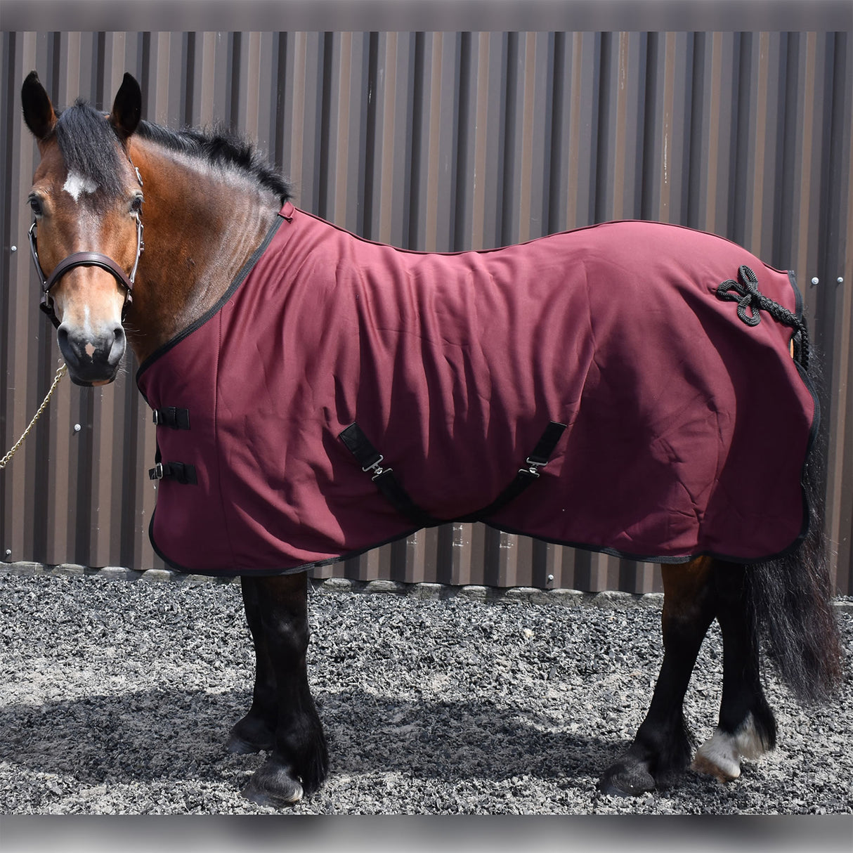 Whitaker Bilbao Bonded Fleece Rug #colour_burgundy-navy