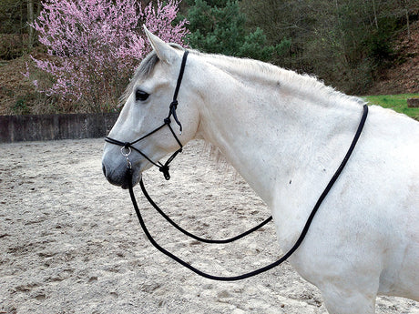 Norton Ethological Headcollar With Reins #colour_black