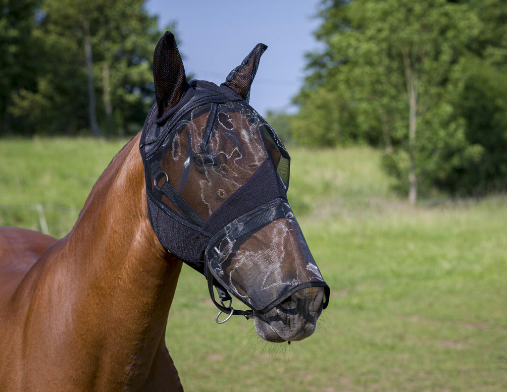 Equitheme 2-In-1 Fly Mask #colour_black