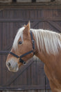 Norton Pro Headcollar For Draught Horse #colour_black