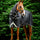 Horseware Ireland Rambo 1680D Plus Turnout 100g #colour_black-thunderstorm-grey-silver