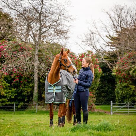 Horseware Ireland Amigo Hero 600D Ripstop Fleece Lined 50g Rug #colour_shadow-blue-haze-navy