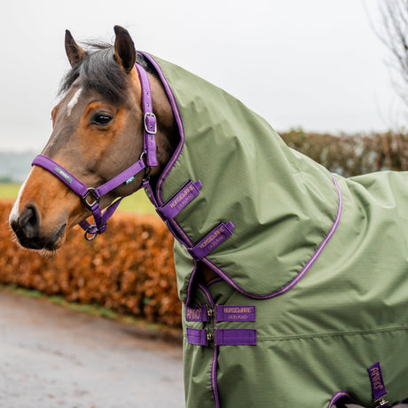 Horseware Ireland Amigo Hero 600D With Ripstop Plus 100g #colour_bramble-winterberry-taupe