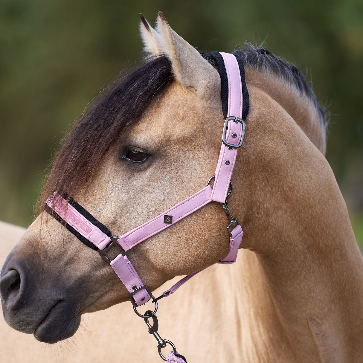 Imperial Riding Jewel Mesh Headcollar