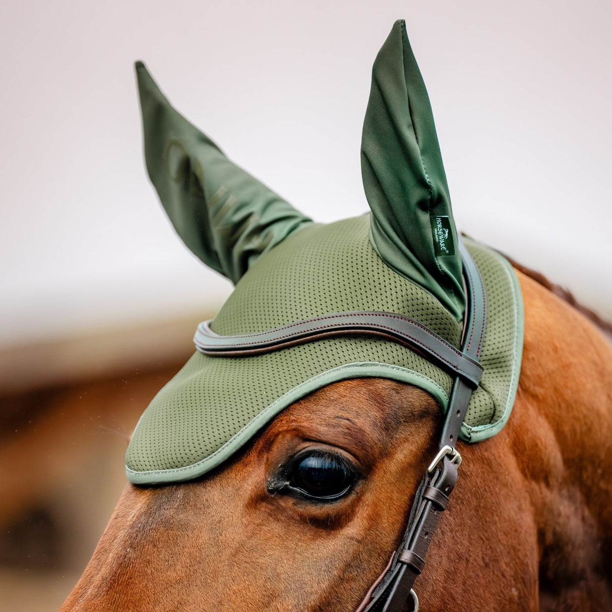 Horseware Ireland Amigo Ear Net #colour_bramble