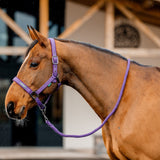 Horseware Ireland Amigo Headcollar & Leadrope Set #colour_winterberry