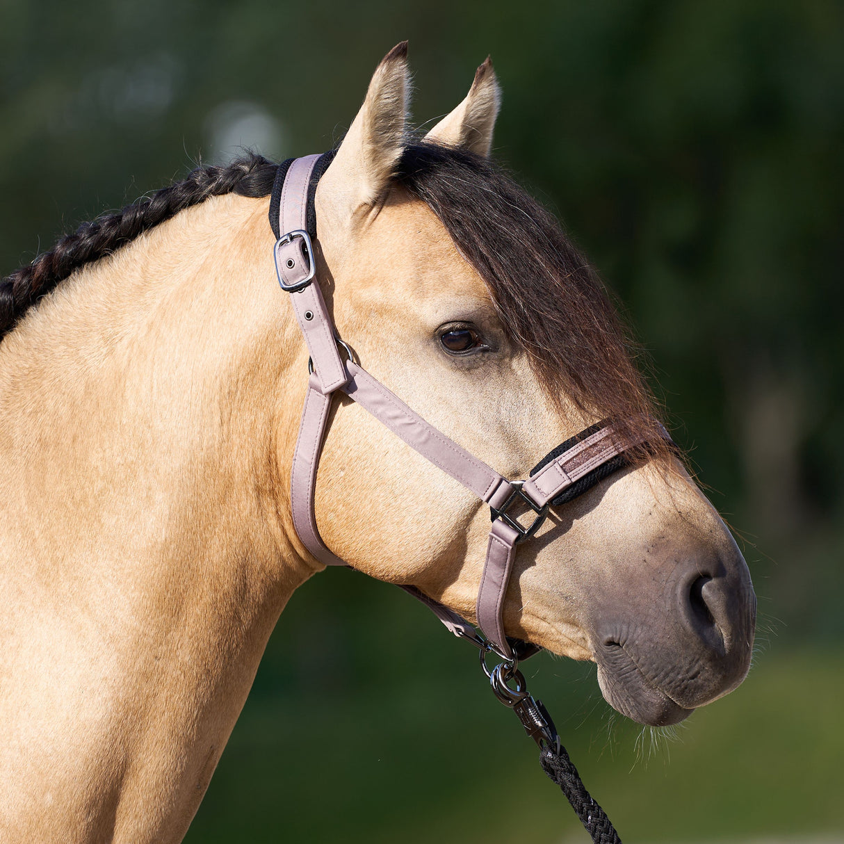 Imperial Riding Jewel Mesh Headcollar #colour_marble
