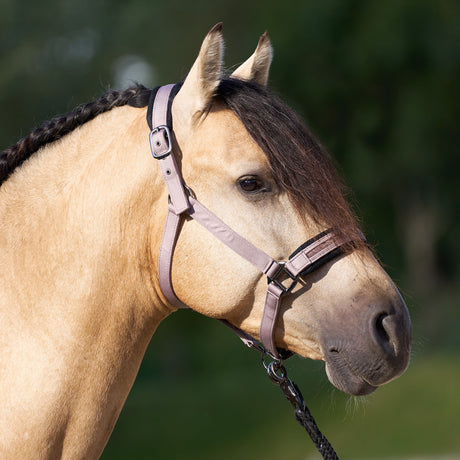 Imperial Riding Jewel Mesh Headcollar #colour_marble