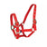 Mackey Equisential Nylon Headcollar #colour_red