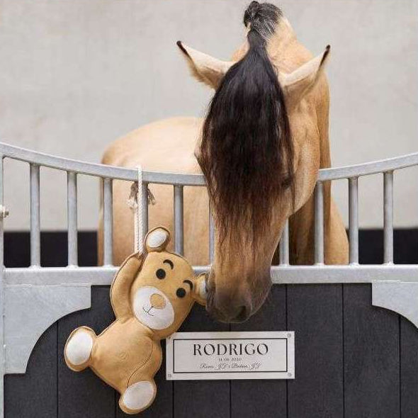 Imperial Riding Stable Buddy Teddy