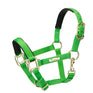 Licol Shires Topaz en nylon