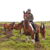 Shires Aubrion Heritage Unisex Quarter Zip Fleece #colour-dark-olive