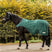 Waldhausen Comfort Horse Walker Rug #colour_fir-green