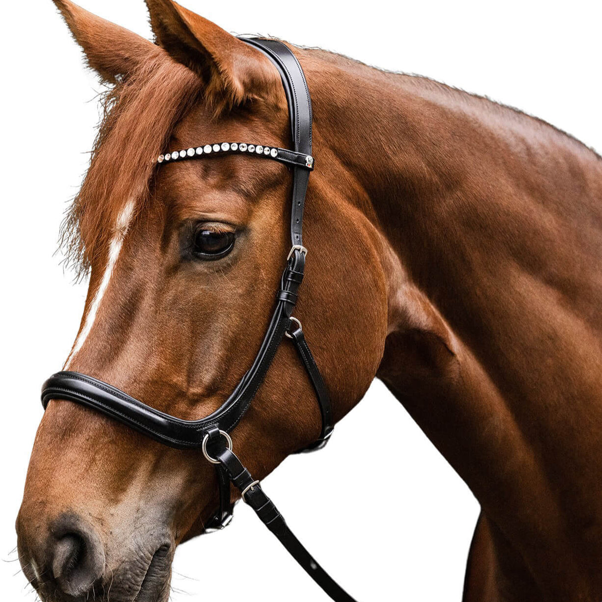 Waldhausen X-Line Sensation Bitless Bridle #colour_black