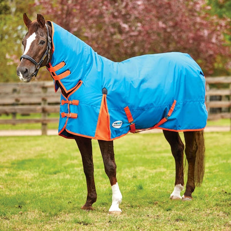 Weatherbeeta ComFiTec Classic Combo Neck Medium Turnout Rug #colour_blue-flame