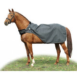 HKM Horse Walker Rug -Carvis-