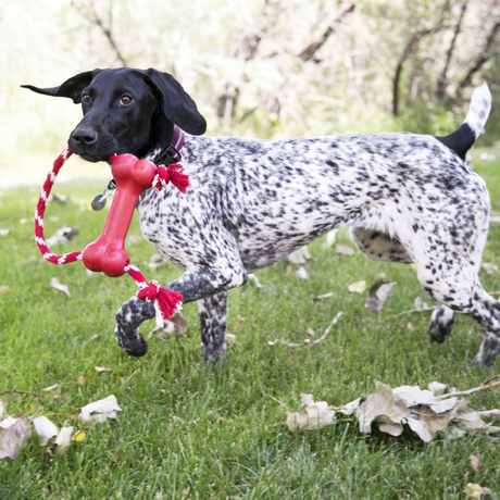 KONG Goodie Bone With Rope #size_m