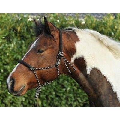 HKM Rope Halter Padded on Nose & Neck Head Collar 1400