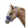 HKM Halfter -Lustige Pferde-