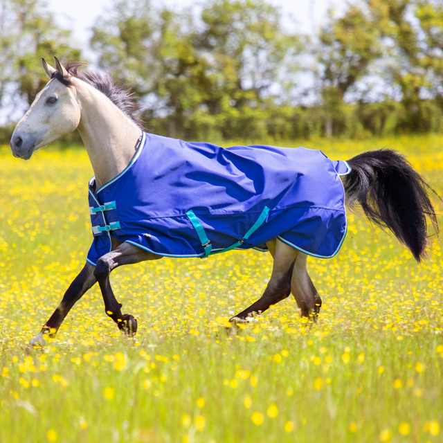 Shires Tempest Original 100g Turnout Rug #colour_navy