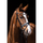 HKM Flora Bridle #colour_black