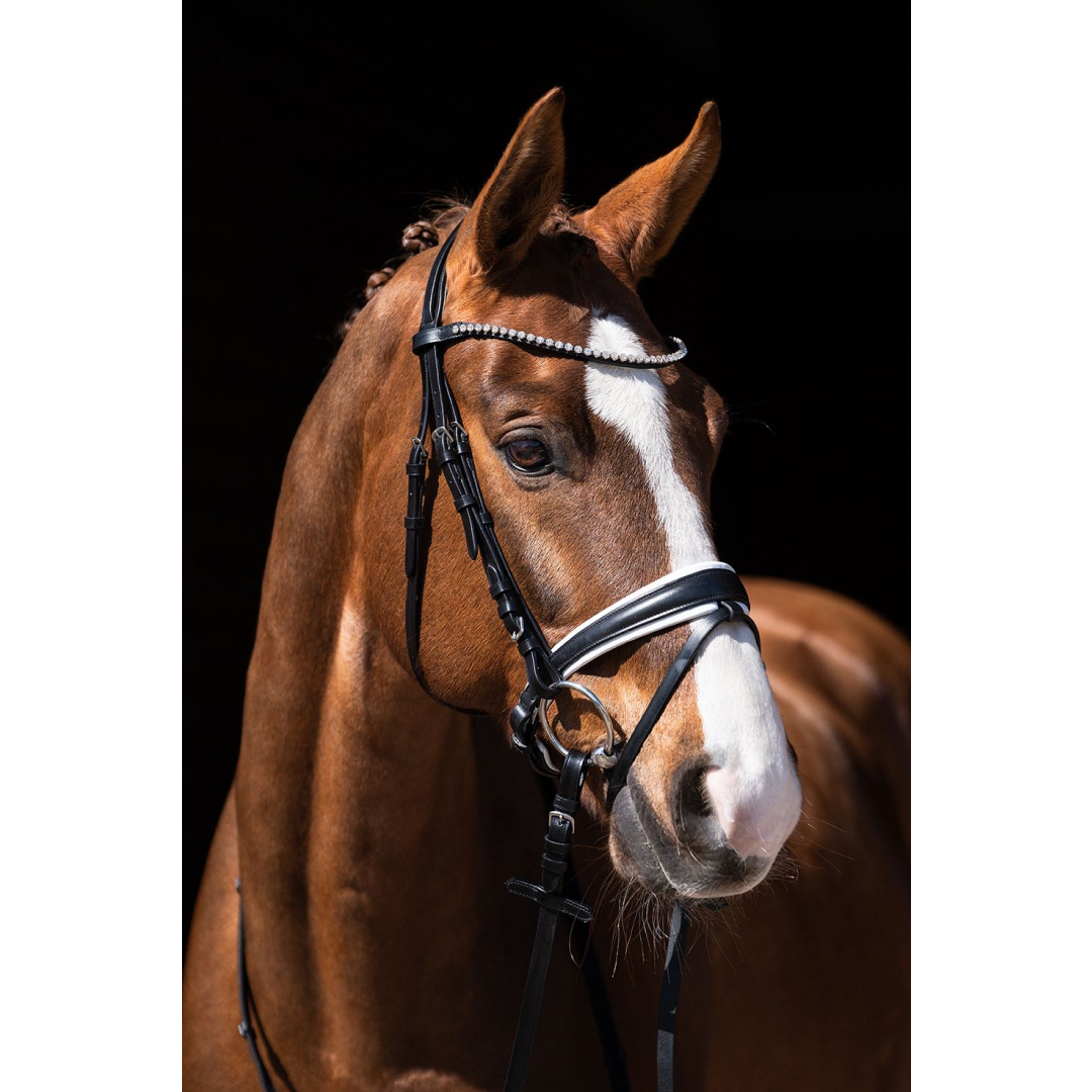 HKM Flora Bridle #colour_black