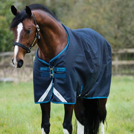 Horseware Ireland Amigo Bravo 12 Original 100g Turnout Rug #colour_navy-electric-blue