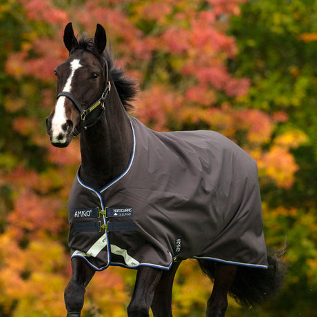 Horseware Ireland Amigo Bravo 12 Original 100g Turnout Rug #colour_excalibur-strong-blue-black