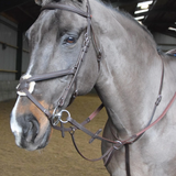 Whitaker Ready To Ride Martingale #colour_havana