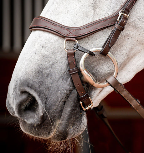 Horseware Ireland Micklem 2 Competition Bridle With Reins #colour_dark-havana
