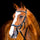 Horseware Ireland Micklem 2 Diamante Competition Bridle #colour_black
