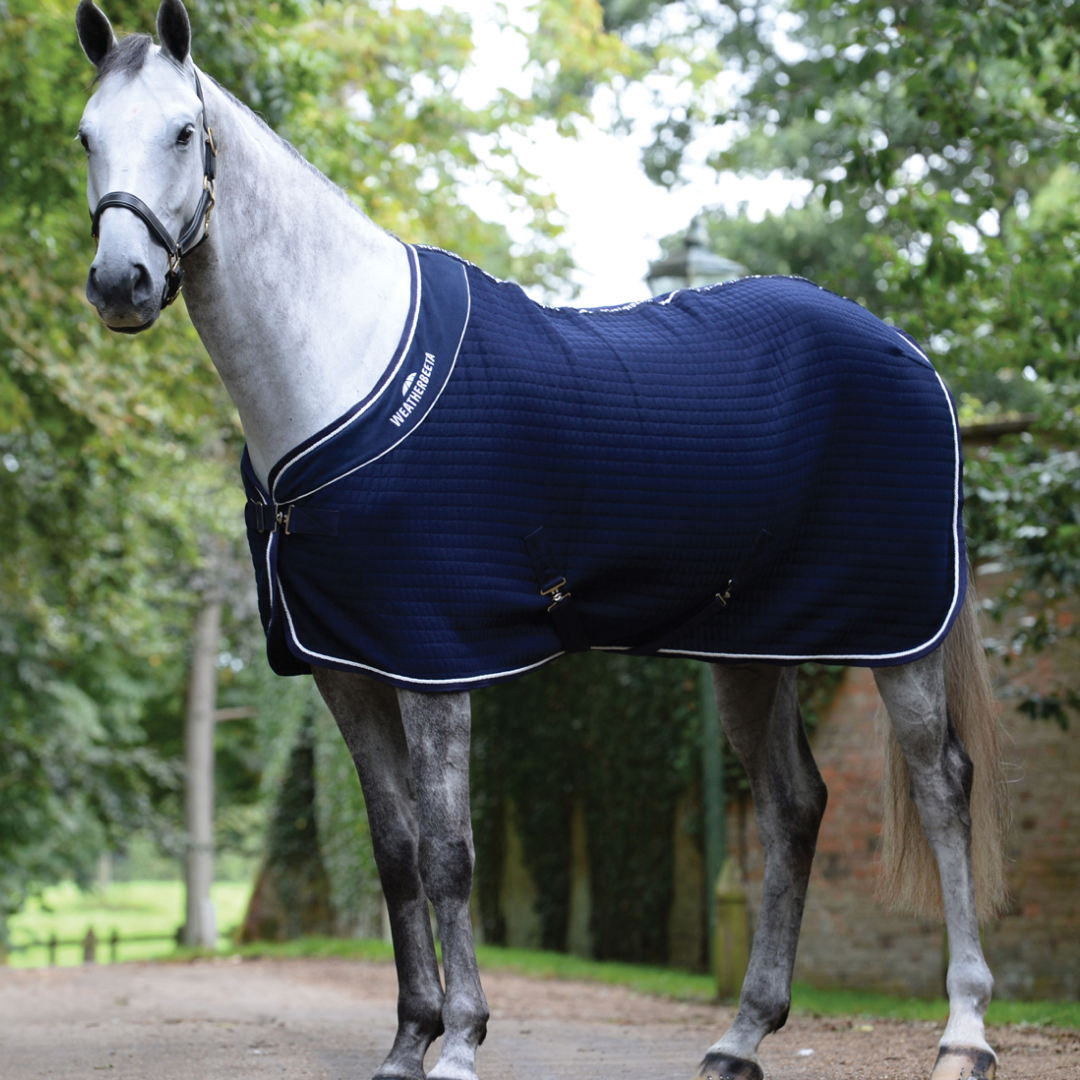 Weatherbeeta Thermocell Cooler Standard Neck #colour_navy-white