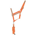 #colour_orange