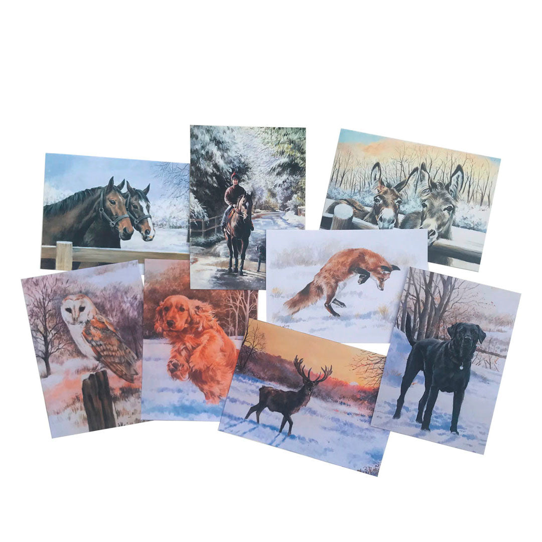 Caroline Cook Winter Collection Greeting Cards - Pack of 16